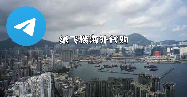 纸飞機海外代购