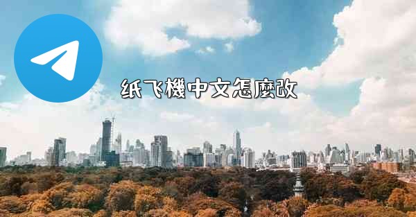 纸飞機中文怎麼改