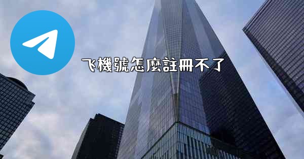 飞機號怎麼註冊不了