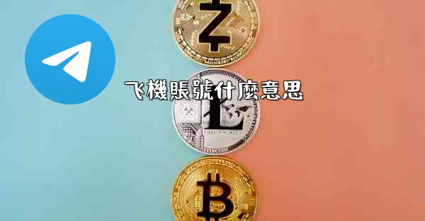 飞機賬號什麼意思