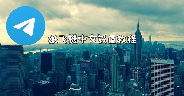 纸飞機中文設置教程