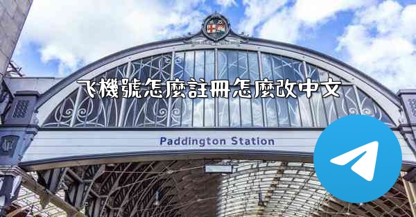 飞機號怎麼註冊怎麼改中文