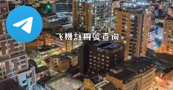 飞機註冊號查询