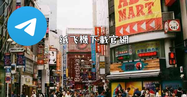 纸飞機下載官網