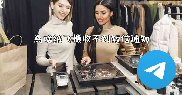 為啥纸飞機收不到短信通知