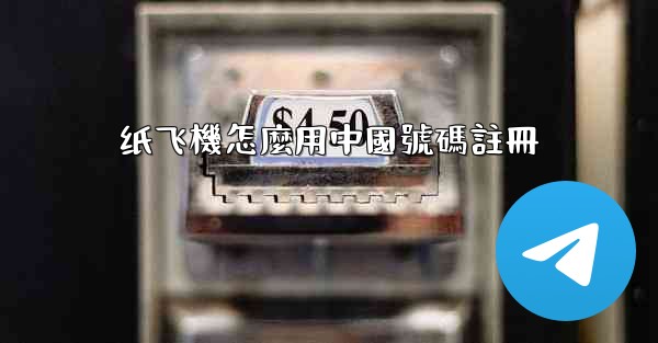 纸飞機怎麼用中國號碼註冊
