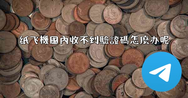 纸飞機國內收不到驗證碼怎麼办呢