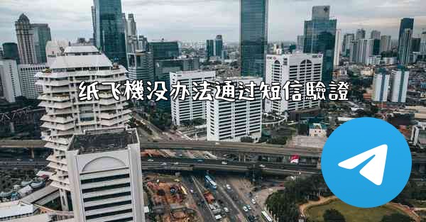 纸飞機没办法通过短信驗證