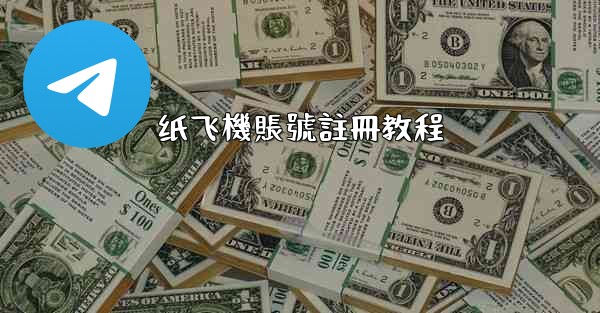 纸飞機賬號註冊教程