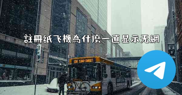 註冊纸飞機為什麼一直显示无網