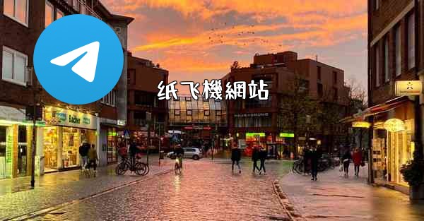 纸飞機網站
