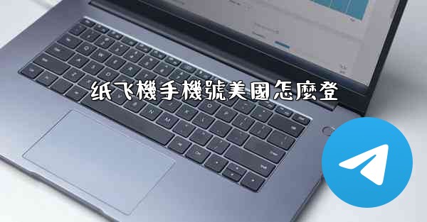 纸飞機手機號美國怎麼登