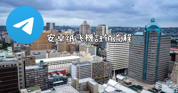 安卓纸飞機註销流程