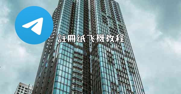 註冊纸飞機教程