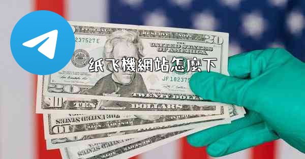 纸飞機網站怎麼下