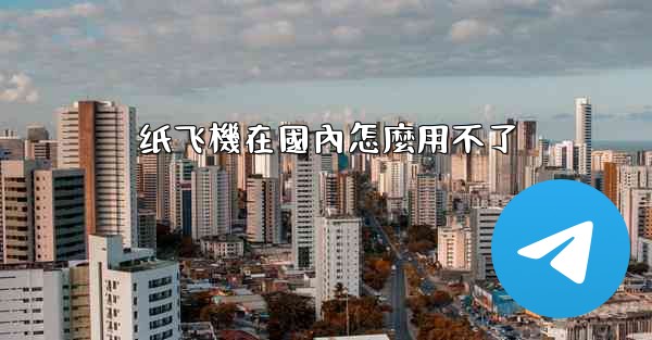 纸飞機在國內怎麼用不了