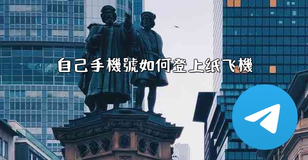 自己手機號如何登上纸飞機