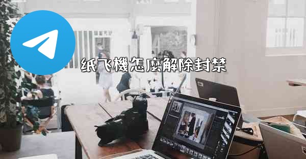 纸飞機怎麼解除封禁