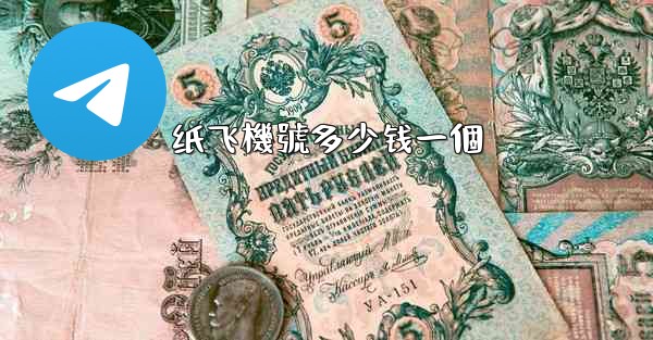 纸飞機號多少钱一個