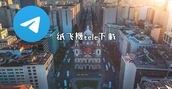 纸飞機tele下載