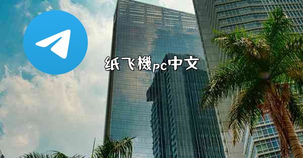 纸飞機pc中文