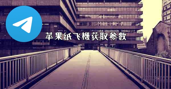 苹果纸飞機获取参數