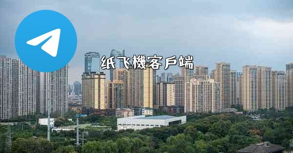 纸飞機客戶端