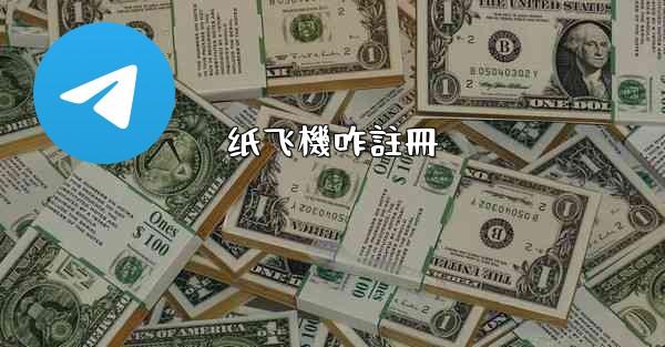 纸飞機咋註冊