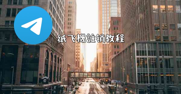 纸飞機註销教程