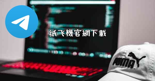 纸飞機官網下載