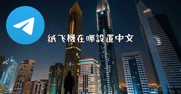 纸飞機在哪設置中文
