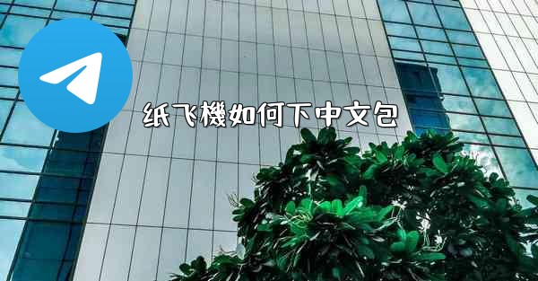 纸飞機如何下中文包