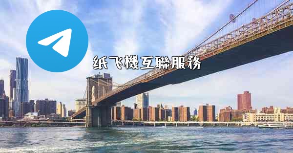 纸飞機互聯服務