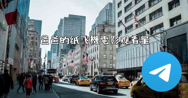 爸爸的纸飞機電影观看量