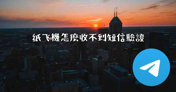 纸飞機怎麼收不到短信驗證
