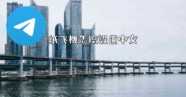 纸飞機怎麼設置中文