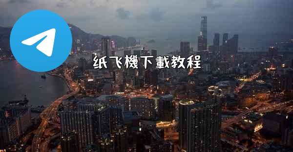 纸飞機下載教程