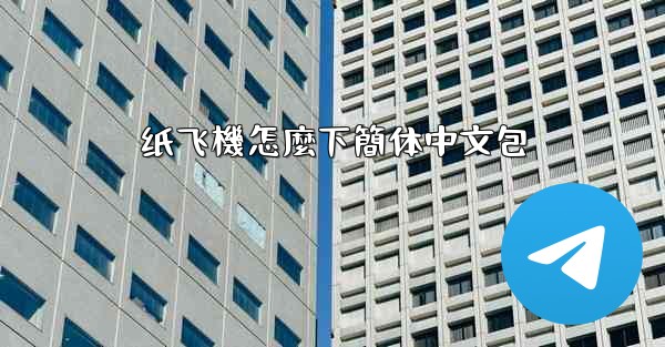 纸飞機怎麼下簡体中文包