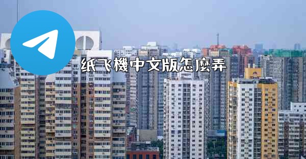 纸飞機中文版怎麼弄