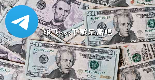 纸飞app下載量高嗎