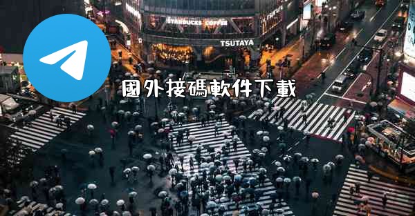 國外接碼軟件下載