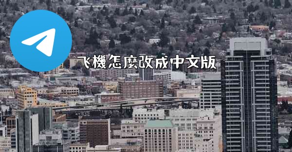 飞機怎麼改成中文版