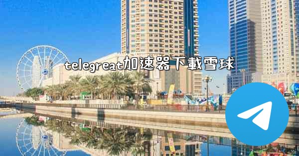 telegreat加速器下載雪球