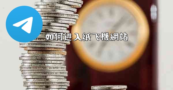 如何进入纸飞機網站