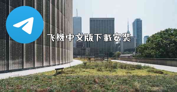 飞機中文版下載安裝