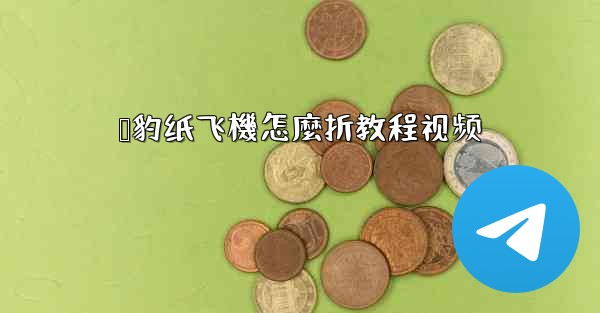 猎豹纸飞機怎麼折教程视频