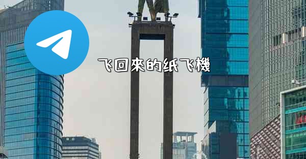 飞回來的纸飞機