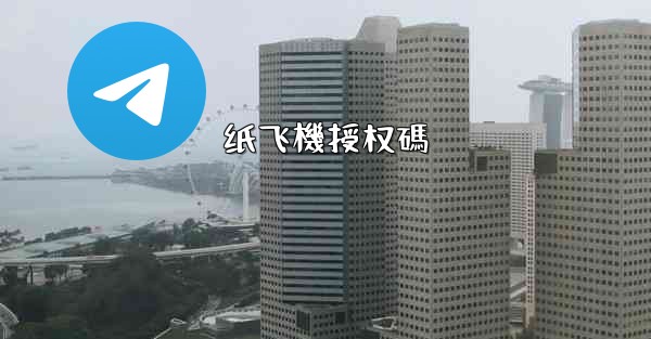 纸飞機授权碼