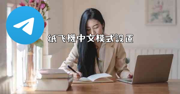 纸飞機中文模式設置
