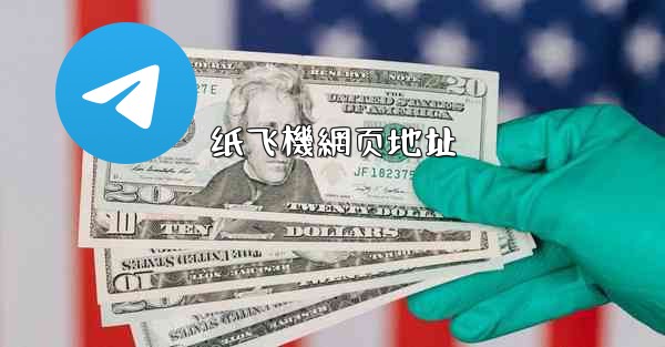 纸飞機網页地址